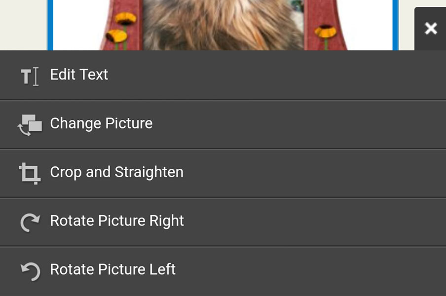 Picture Options